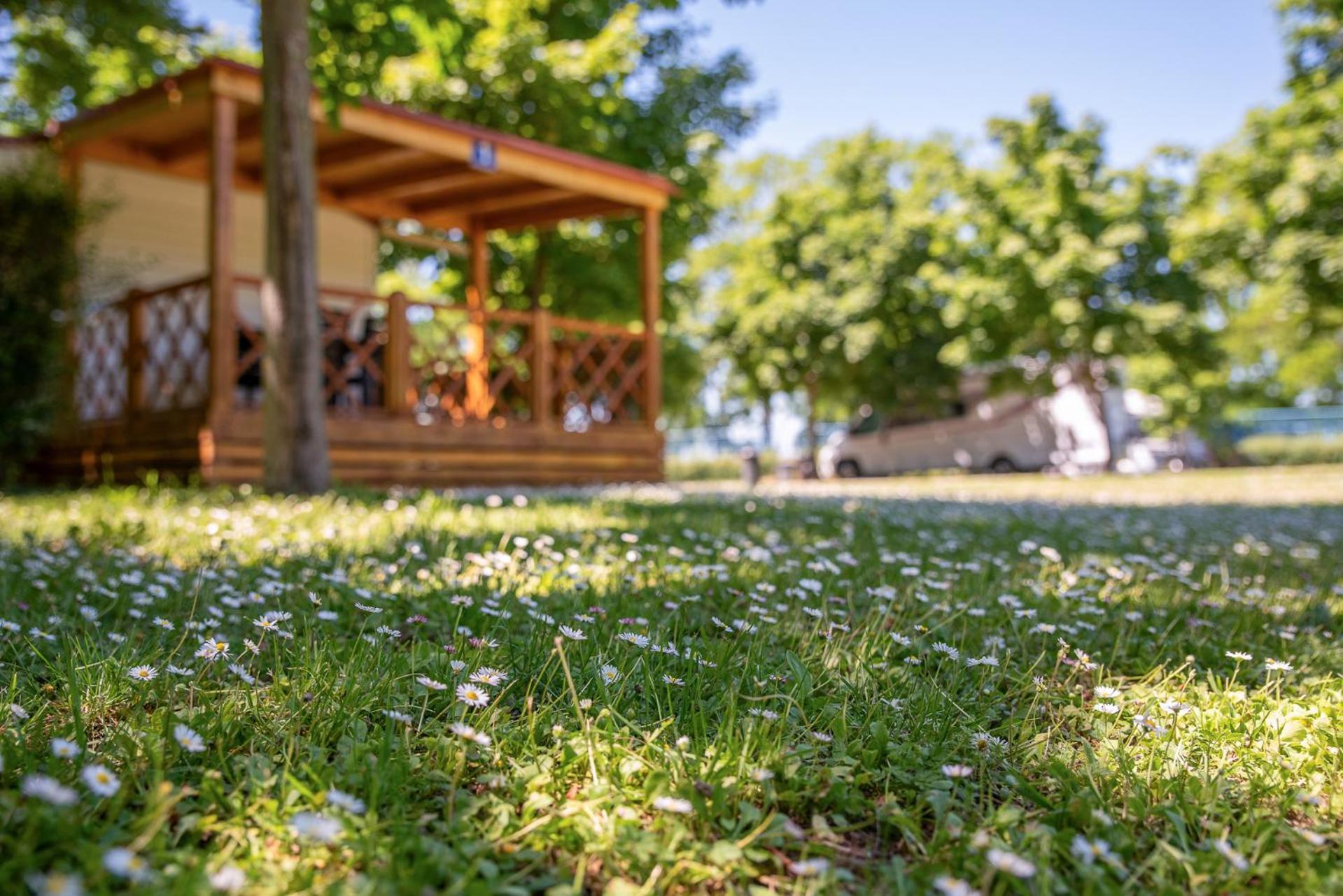 Hungarospa Thermal Camping Mobilhaz Hajdúszoboszló Kültér fotó